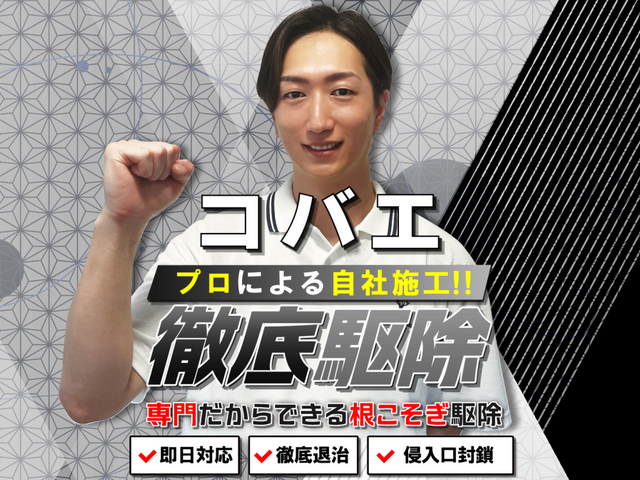 【徹底駆除】コバエ徹底駆除!繁殖しやすいコバエも完全駆除☆プロによる徹底施工!