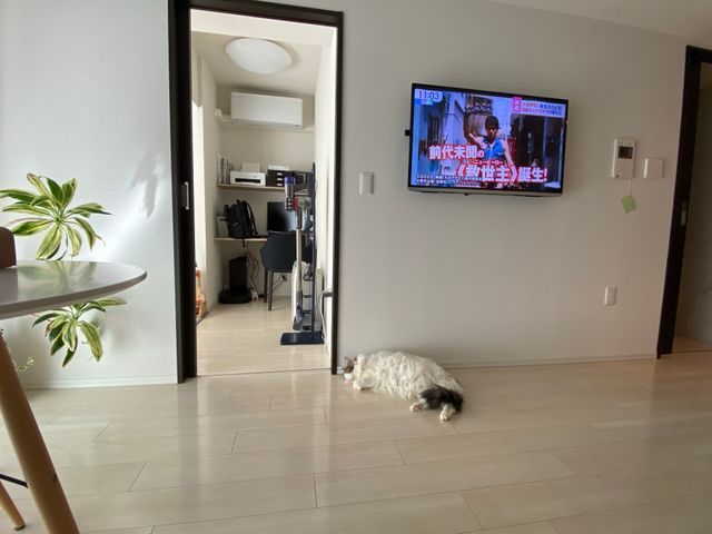 壁掛けテレビの設置