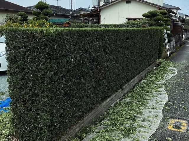 ☆日曜日限定価格☆祖父の技を受け継ぐ、お客様に寄り添った庭木のプロフェッショナル