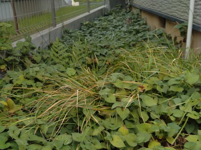 お客様のお力になります!経験と知識を活かして迅速丁寧に作業いたします