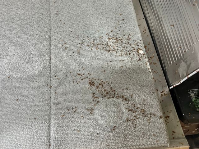すぐに返答します。まずはお気軽にご相談を!