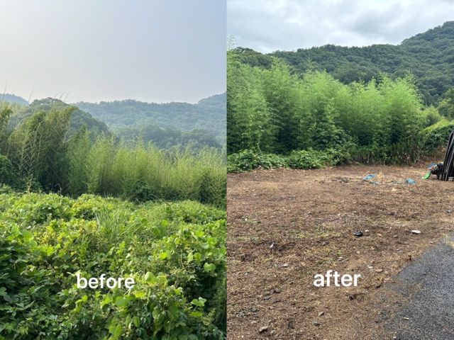 【24時間対応可能】草刈りマスター◉安心の損害保険加入★