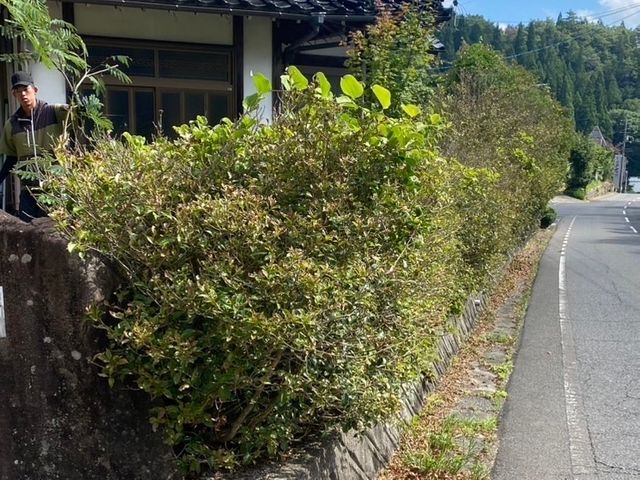 みどりのお手入れ屋さん◎お庭をきれいにします!!