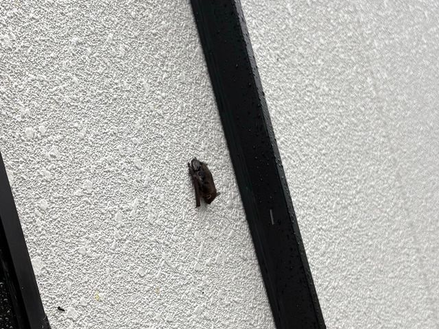 プロの技術でご満足いただけるように心を込めて作業いたします