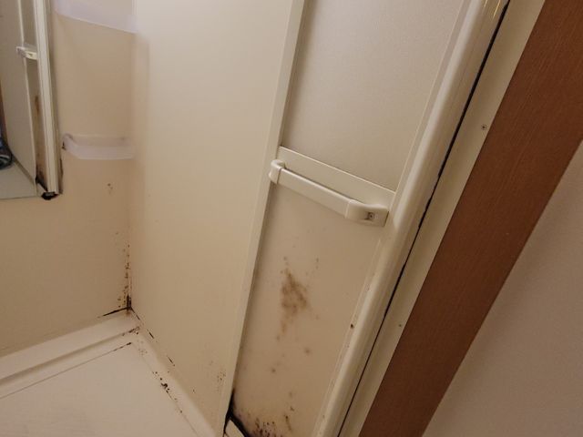 プロの技術でご満足いただけるように心を込めて作業いたします