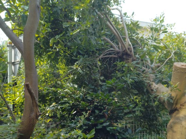 お客様のお力になります!経験と知識を活かして迅速丁寧に作業いたします