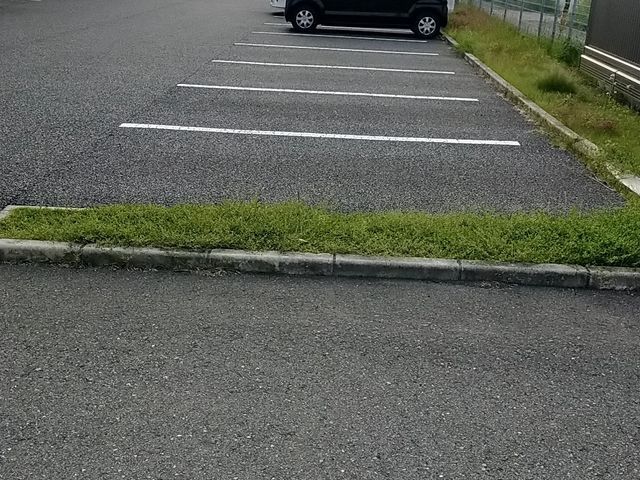 草むしり(電動.手動)