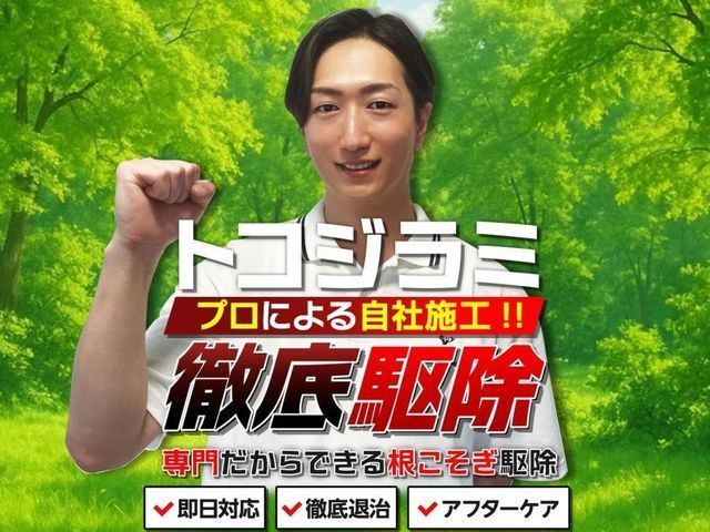 ◆トコジラミ駆除専門◆即日対応可能です!完全駆除実績多数☆お任せください!