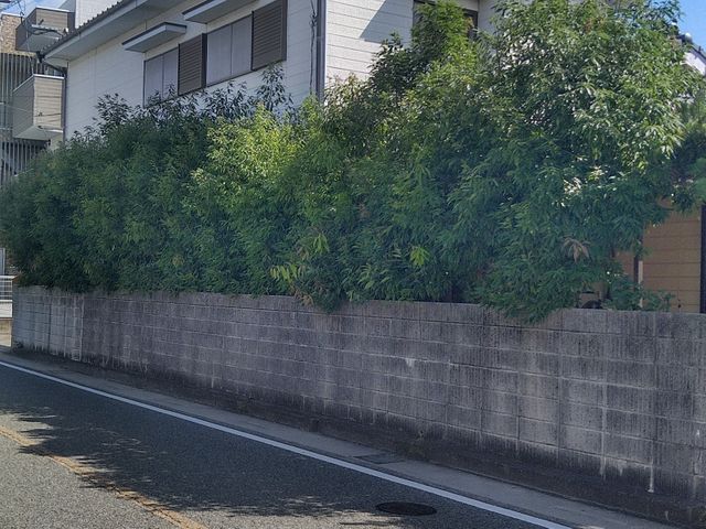 経験の中からお客様のお言葉とお庭に合ったお庭に仕上げます