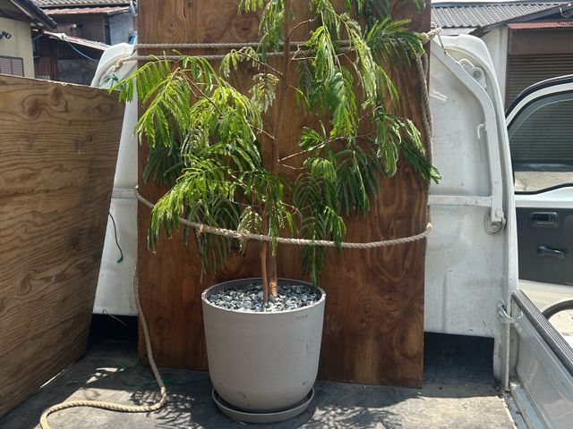 豊富な経験と知識で安心!仕上がり重視で迅速丁寧に作業いたします!