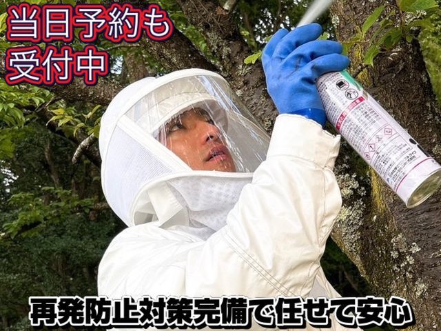 郡山から出発【当日作業対応可能】店長直接訪問で高所・屋根裏も安心の迅速作業