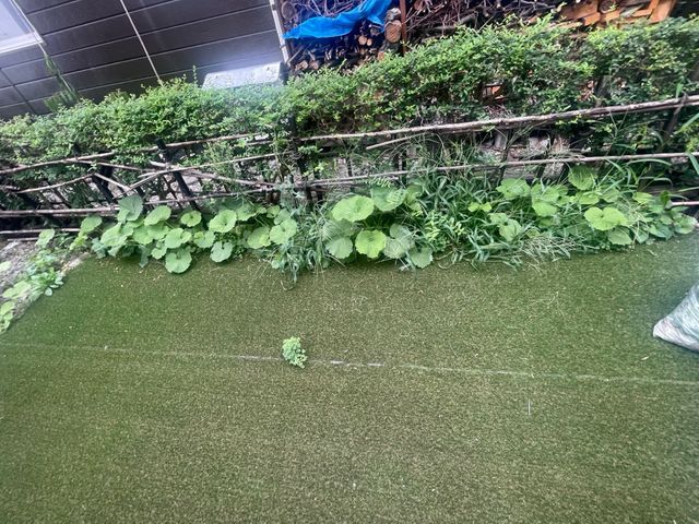 草むしり 手作業