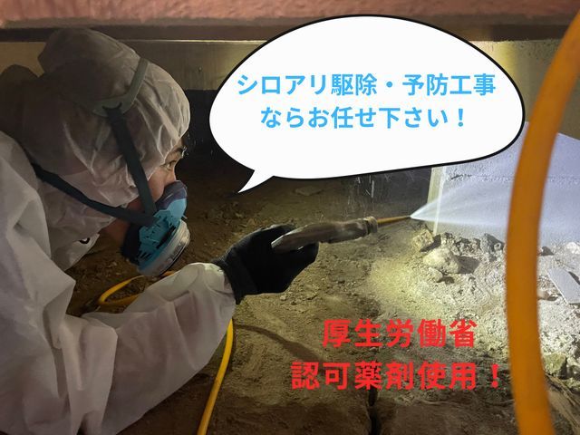 ◤店長訪問◎非喫煙◎即日・緊急のご相談可◎◢