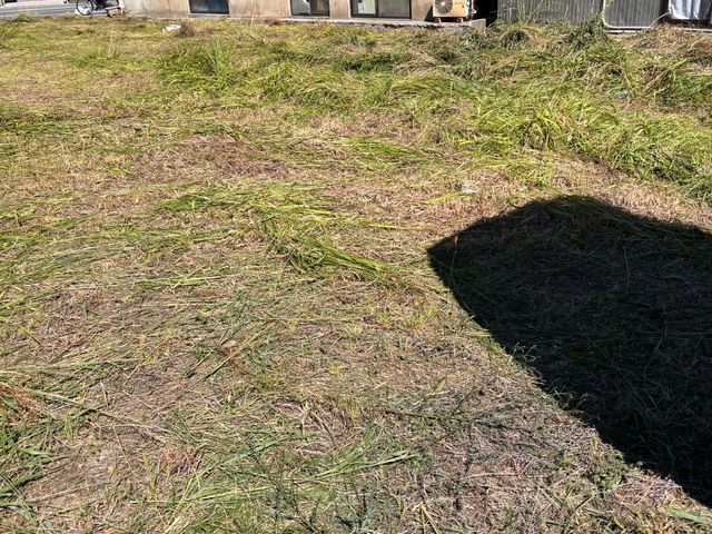 お家の草刈りお任せください!