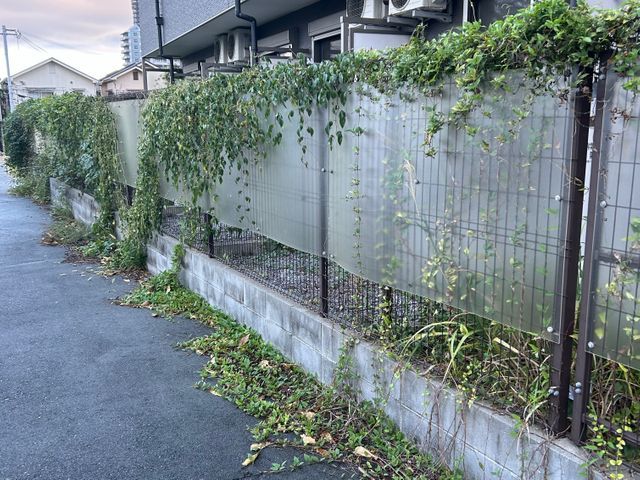 蔦の面倒臭いからまり、スッキリさせます。