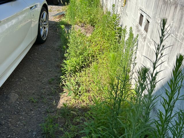 草むしり【手作業】
