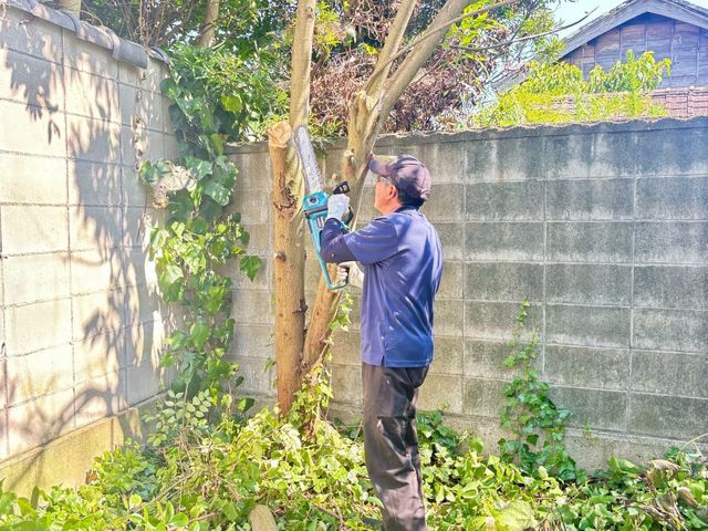 "一切の外注なし、店長自身が手掛ける庭木伐採・サービス"