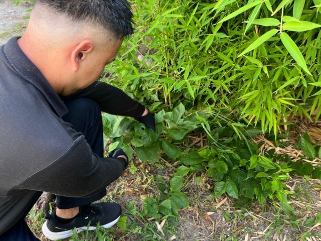 【24時間対応】面倒な草取り【スピーディー且つ丁寧にご対応致します◎】