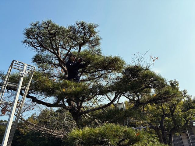 大手経験者が養生徹底で安心対応!自社スタッフ100%の確かな技術をお届けします!