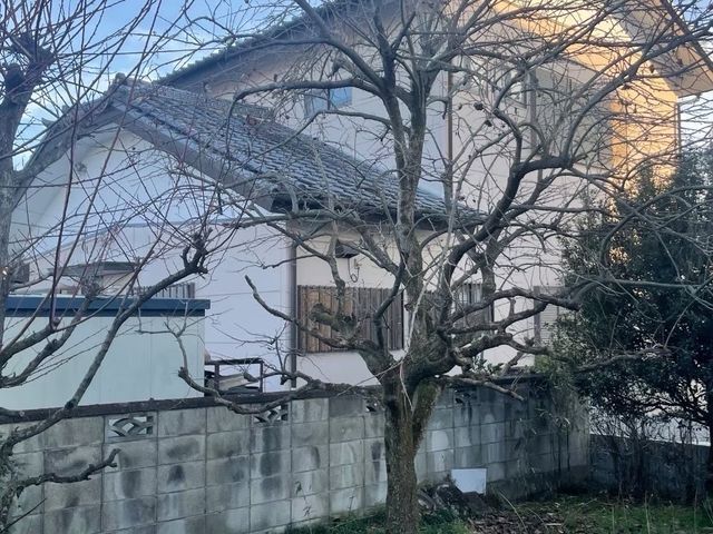 庭木、森林伐採などお任せ下さい!