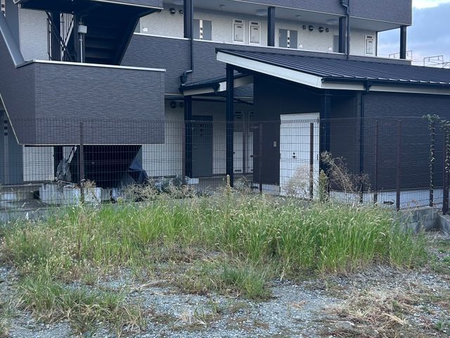 お庭、駐車場の面倒臭い草むしりは任せて下さい。今すぐスッキリさせましょう!