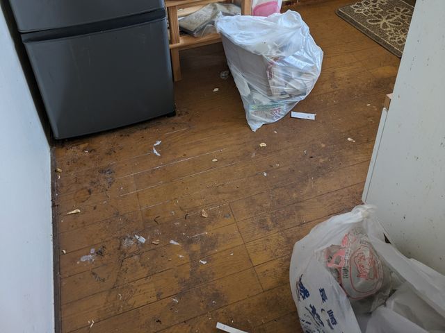 プロの手で、家中ピカピカに!