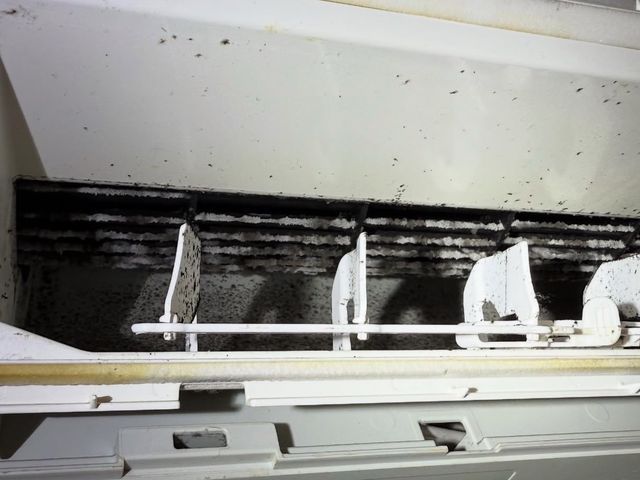 元プロキックボクサーの清掃!作業中のセキュリティー面はご安心下さいませ。