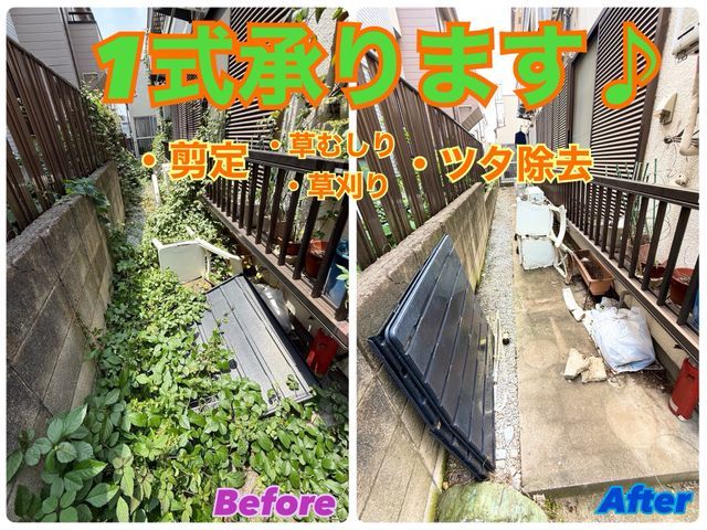 【安心、安全、安価!】汚らしいツタの除去は私にお任せ下さい!