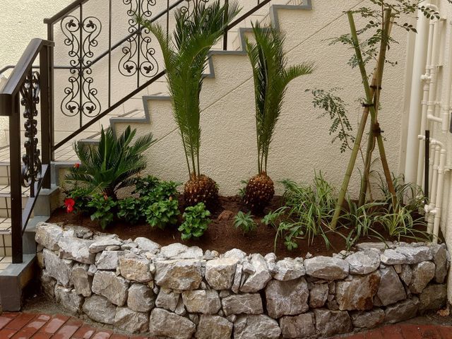 草花の植え替え、花壇作りします。
