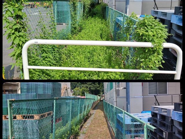 新年を綺麗なお庭で迎えませんか?お庭のことなら庭 翔黒にお任せください。