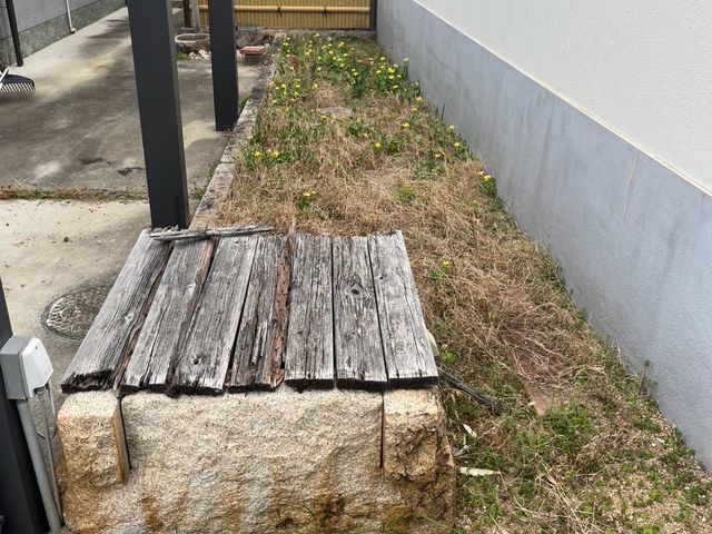 草むしり手作業