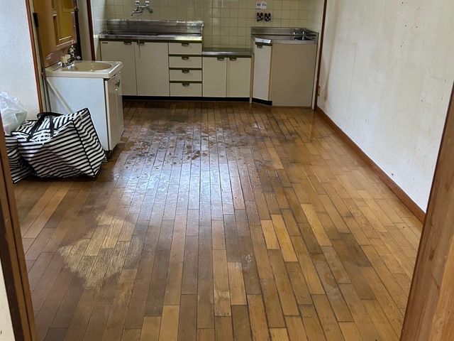 大量の害虫OK◎女性スタッフが多い会社です!クリーニングオプションあります!