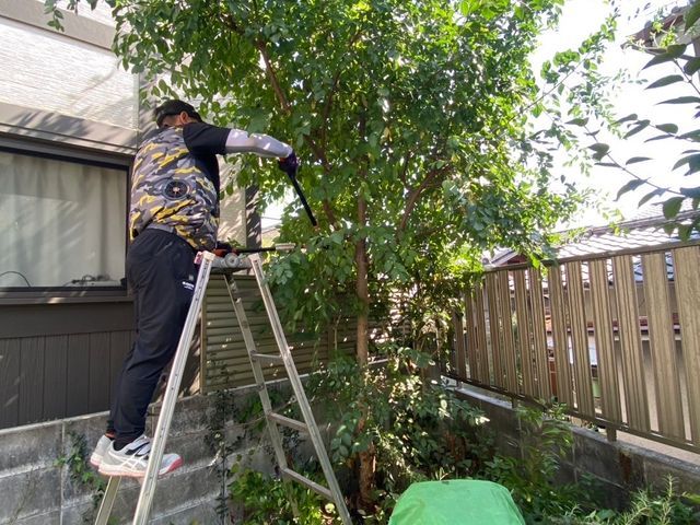 口コミ高評価◎生垣スッキリ整う!丁寧で安心の仕上げ
