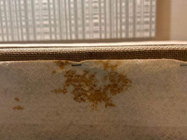 初期対策が大事。被害が大きくなる前にプロにお任せを!