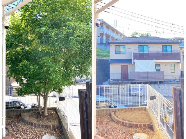 手に負えなくなってしまった木伐採致します!困難な特殊伐採もお任せ下さい!