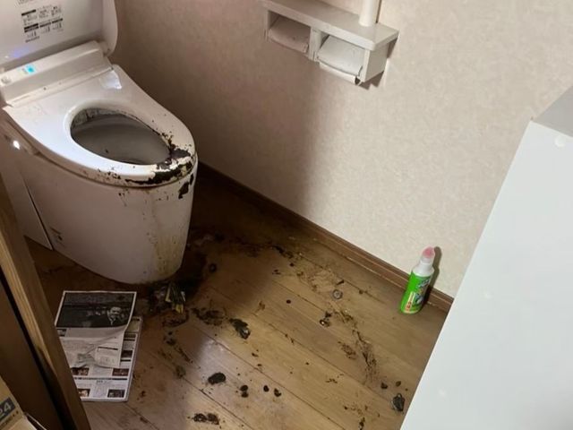 【完全自社施工】実績多数のプロがお伺いします