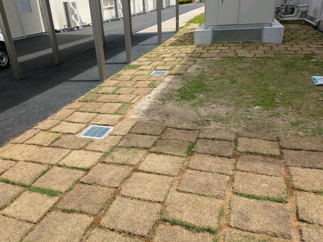 芝生敷き均し、目土敷き均し