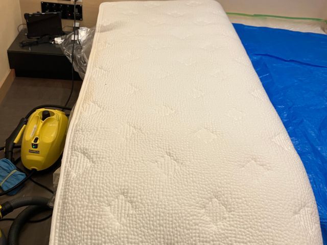 ペットの粗相、ダニ、臭い、汚れ!マットレスクリーニング専門店。経験と技術!