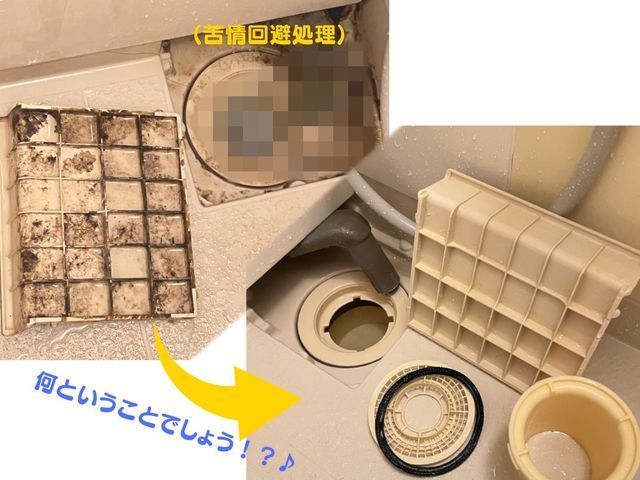 水まわり5点(お風呂、洗面所、シンク、コンロ、レンジフード/換気扇、トイレ)
