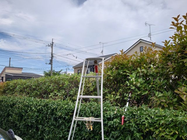造園業務20年やっています!損害保険加入済み!営業時間外のご予約もご相談可能◎