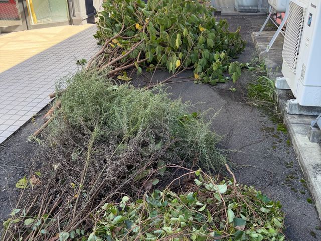 伐採サービス