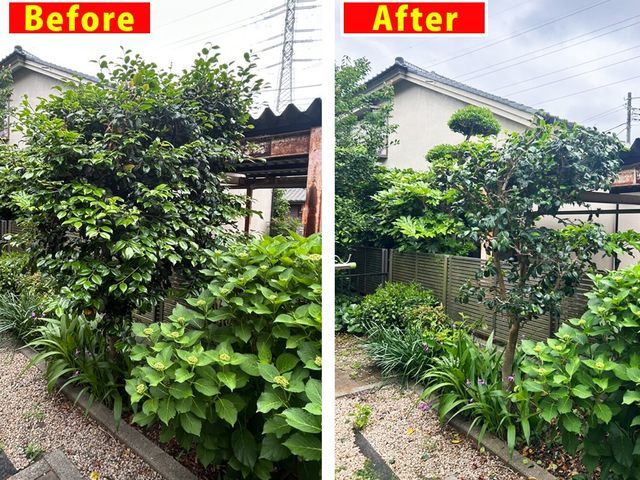 安心丁寧! 整えるだけで、うれしくなる庭に