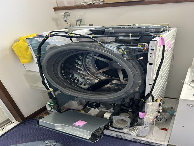 洗濯槽クリーニング(ドラム式)