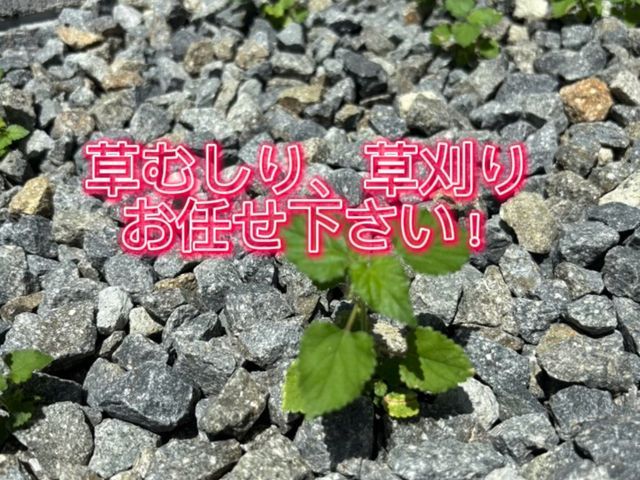 草刈りでお庭スッキリに