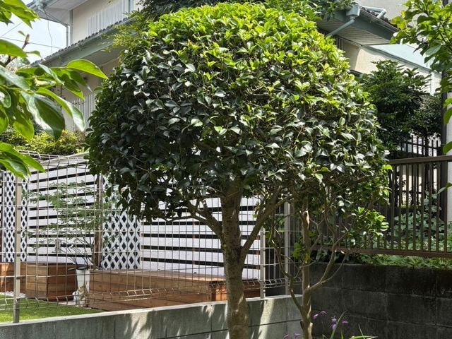 『お客様の理想を叶える!丁寧な作業と徹底清掃で圧倒的お客様満足度!』