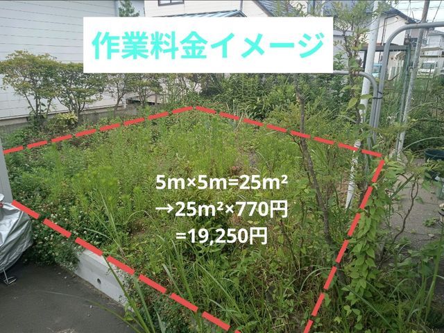最短当日!女性対応可!大切なお庭をスッキリ草むしり★