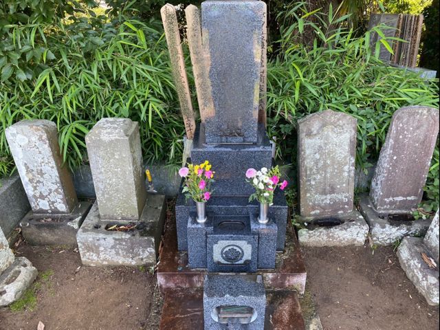 ◇11月末まで通常13,000円⇨11,000円◇元介護福祉士(15年)が代行◇