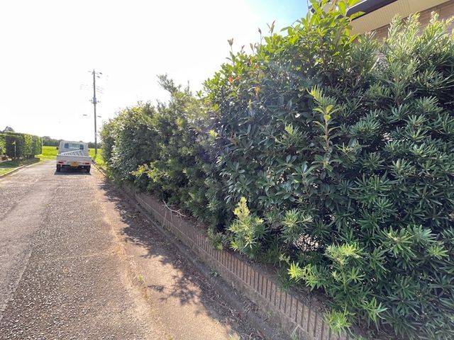 荒れてしまった生垣を剪定しませんか?