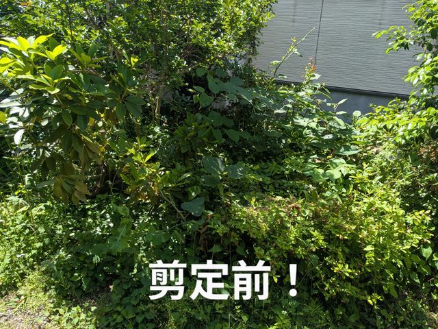【休日対応可】縁の下の力持ち、そんな企業を目指しています!
