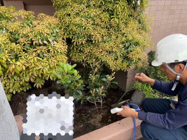 植栽と植え替えを丁寧な作業で行います。